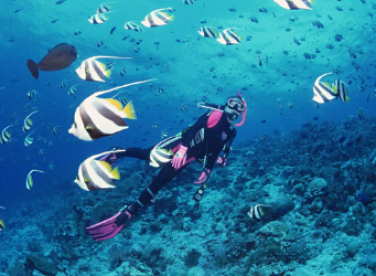 TOUR NHA TRANG 4N3Đ VINPEARL LAND